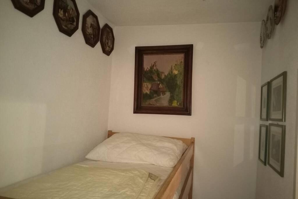 Seewohnung Ossiachersee Atemberaubendes Panorama Villach Zewnętrze zdjęcie